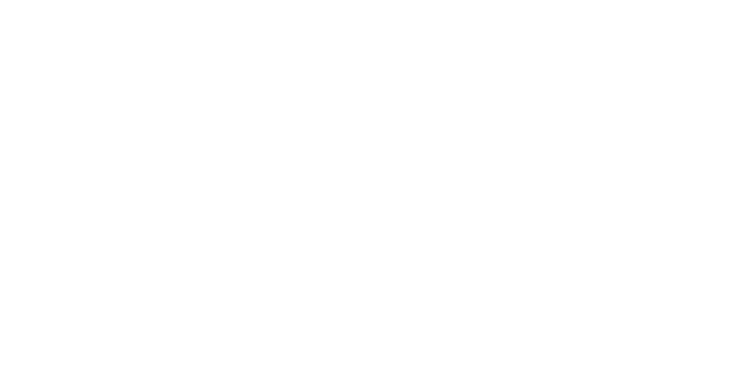 Simmons