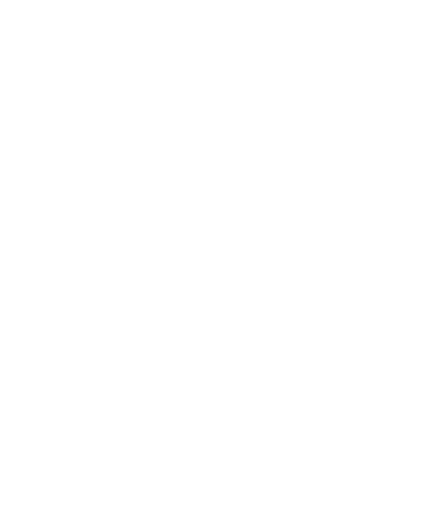 Syracuse University School of Information Studies